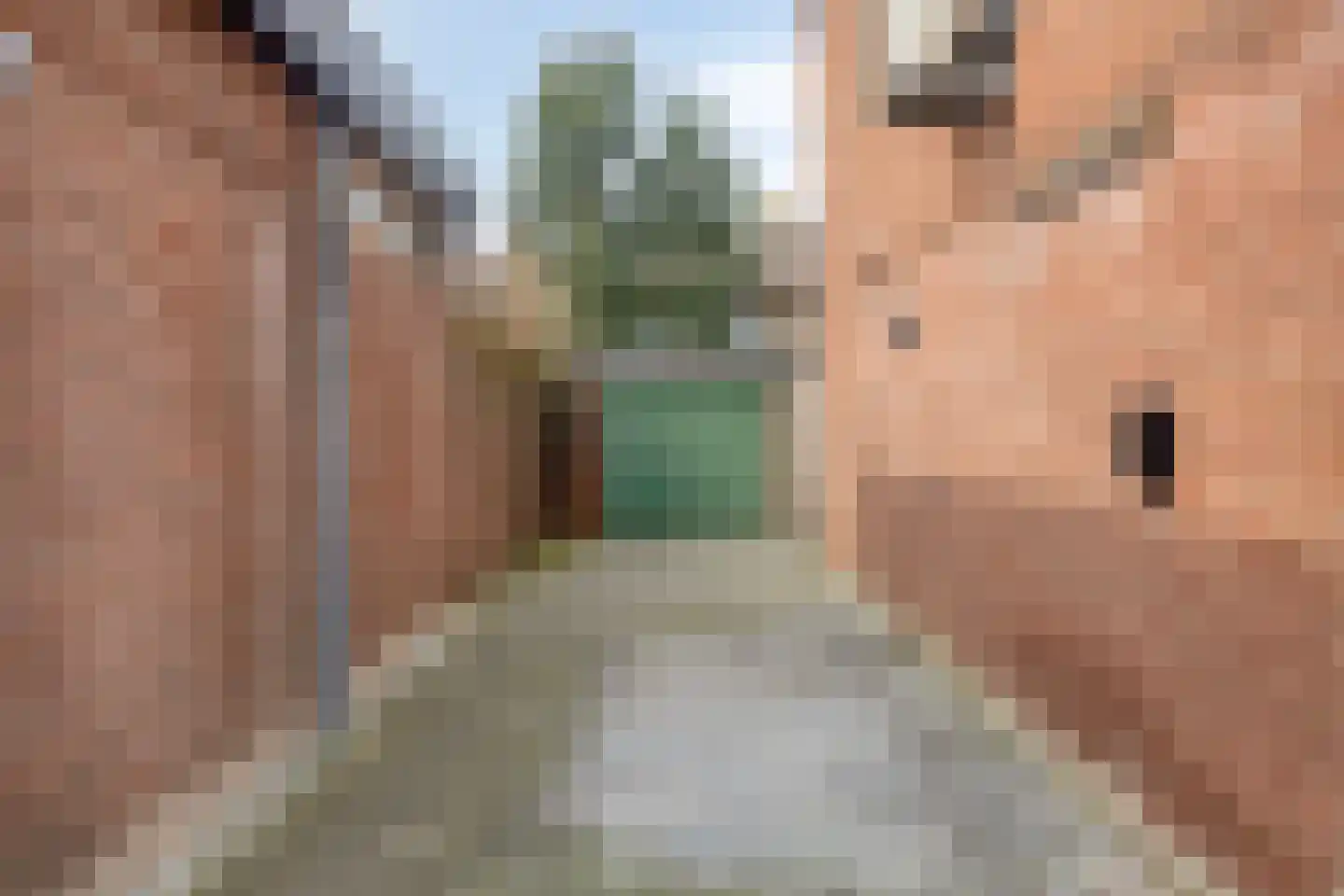 Mortierestraat 3 Middelburg thumbnail 33