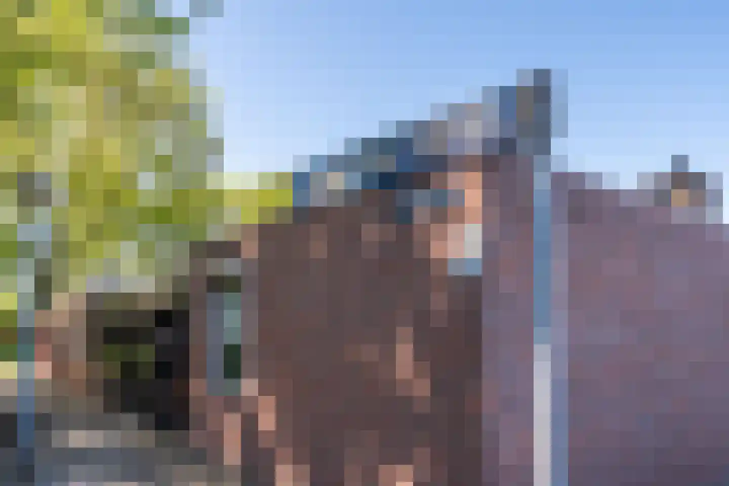 Mortierlaan 115 Eindhoven thumbnail 12