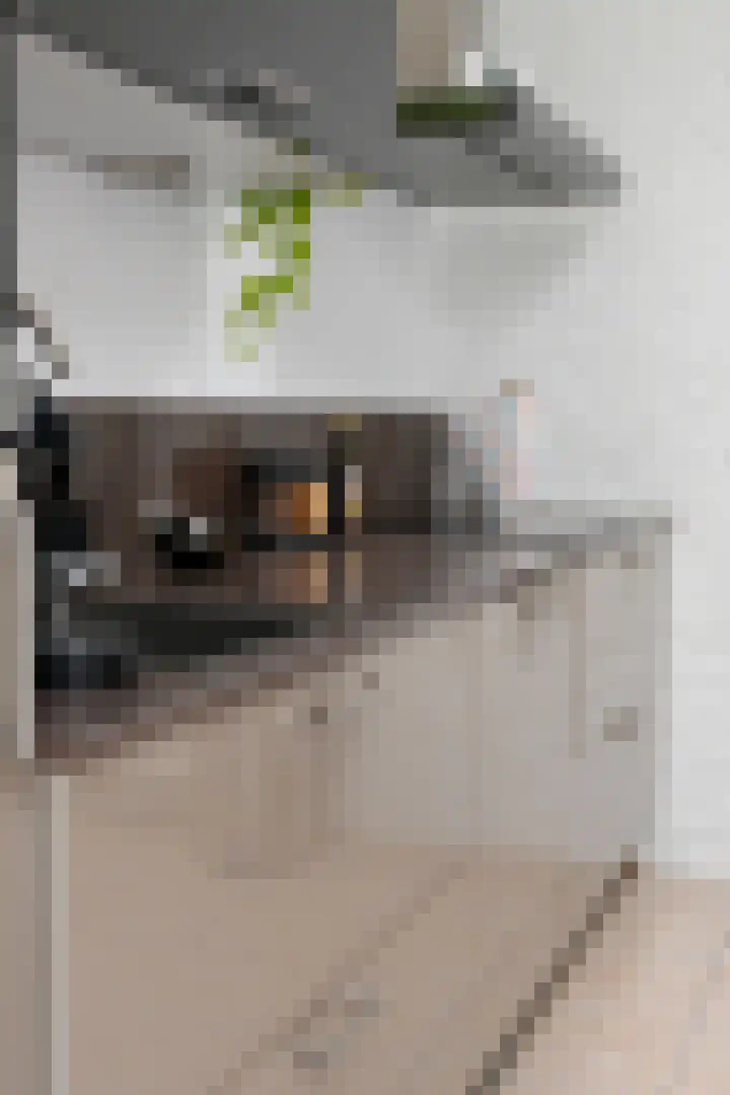 Mortierlaan 115 Eindhoven thumbnail 24