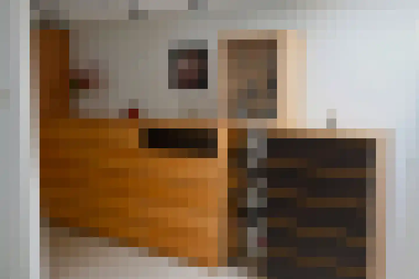 Mortierlaan 115 Eindhoven thumbnail 36