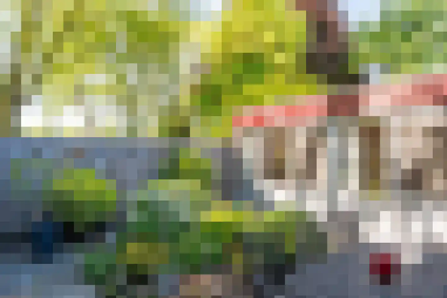Mortierlaan 115 Eindhoven thumbnail 4