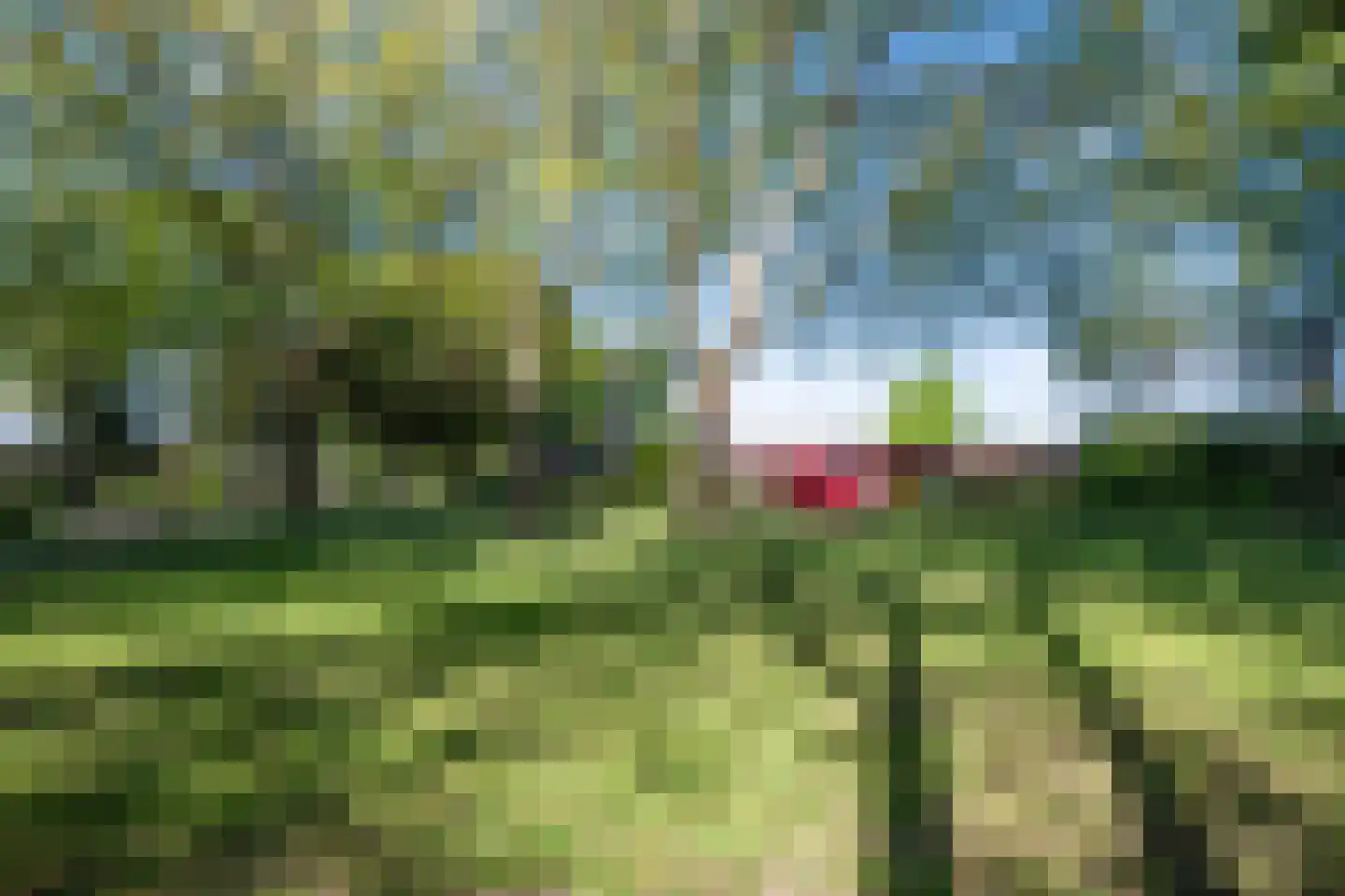 Mortierlaan 115 Eindhoven thumbnail 9