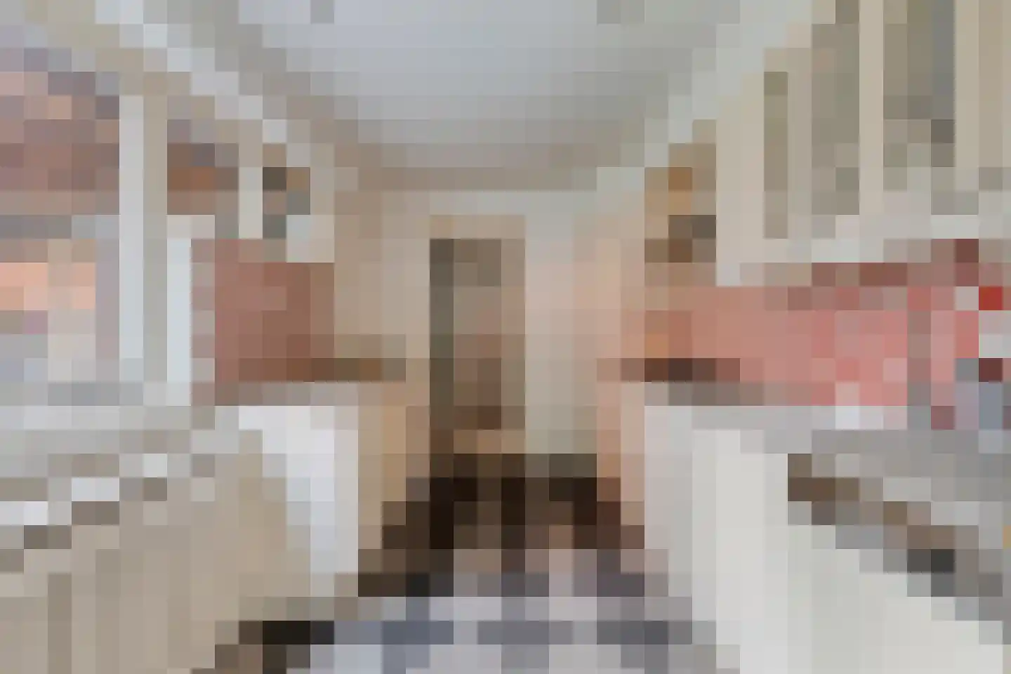 Mortierlaan 12 Eindhoven thumbnail 7