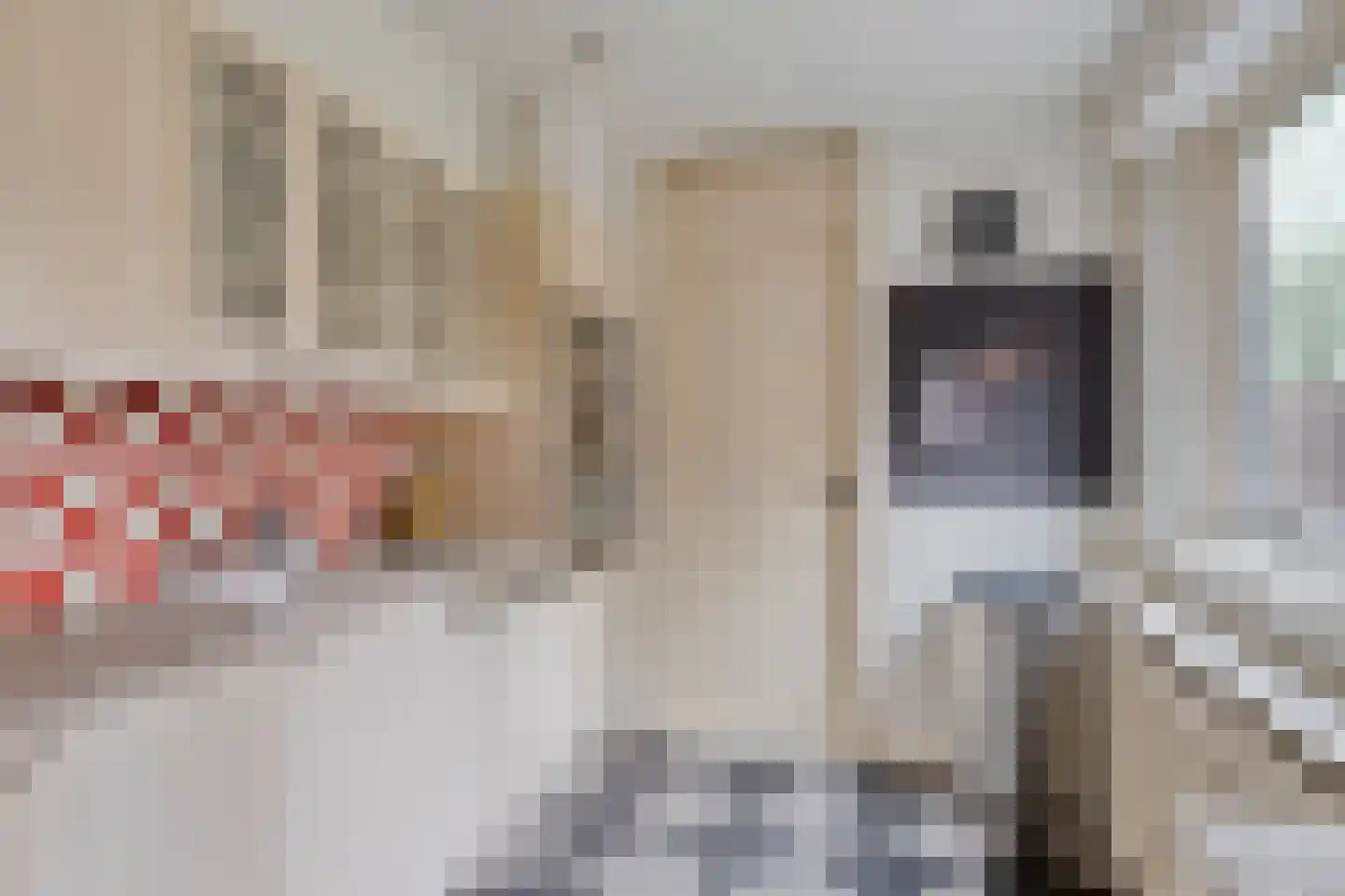 Mortierlaan 12 Eindhoven thumbnail 8
