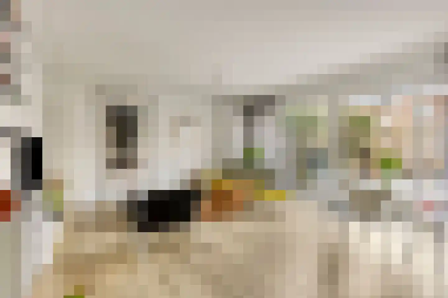 Mortierlaan 145 Eindhoven thumbnail 11