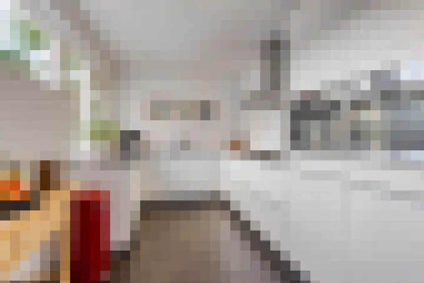 Mortierlaan 145 Eindhoven thumbnail 13