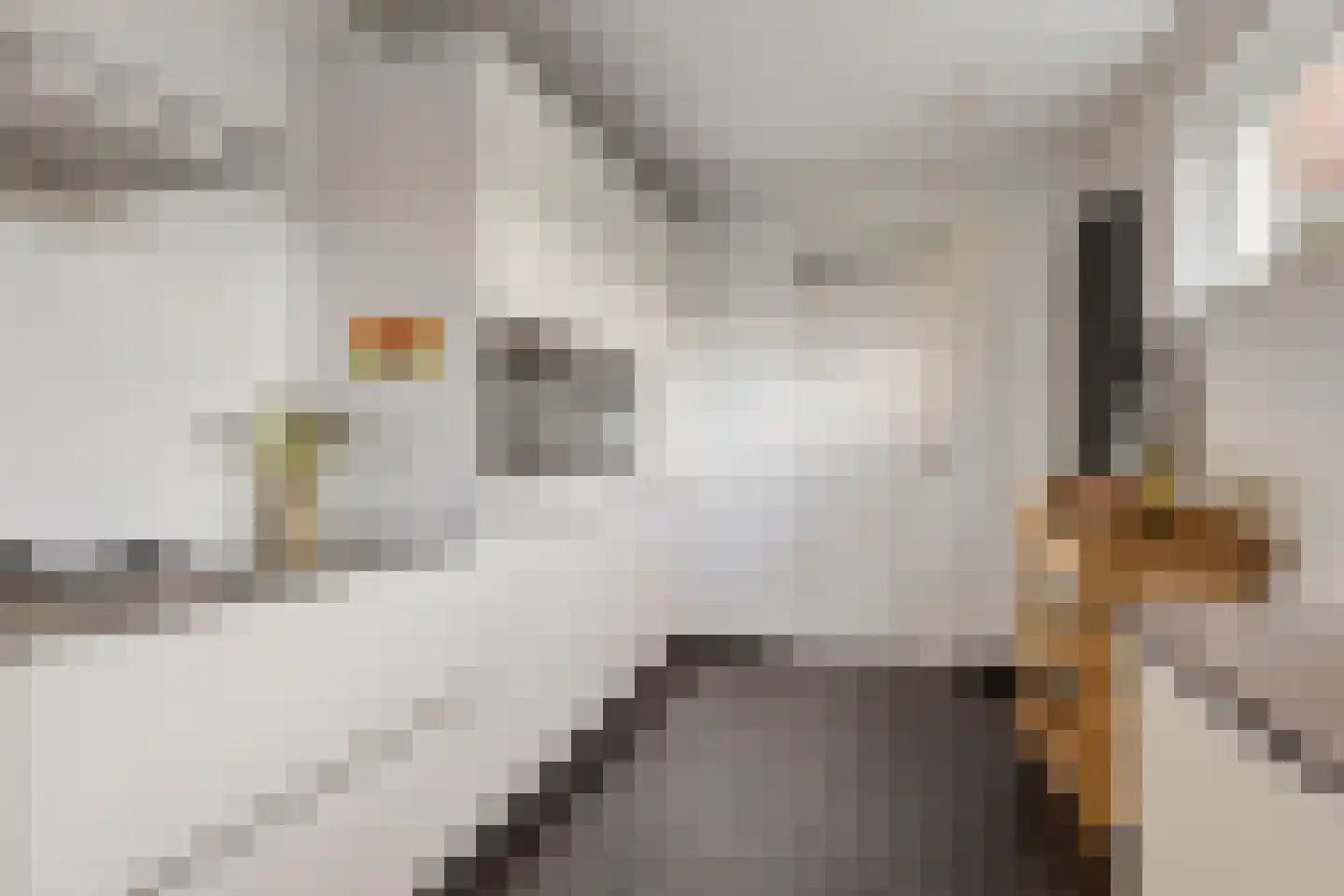 Mortierlaan 145 Eindhoven thumbnail 14