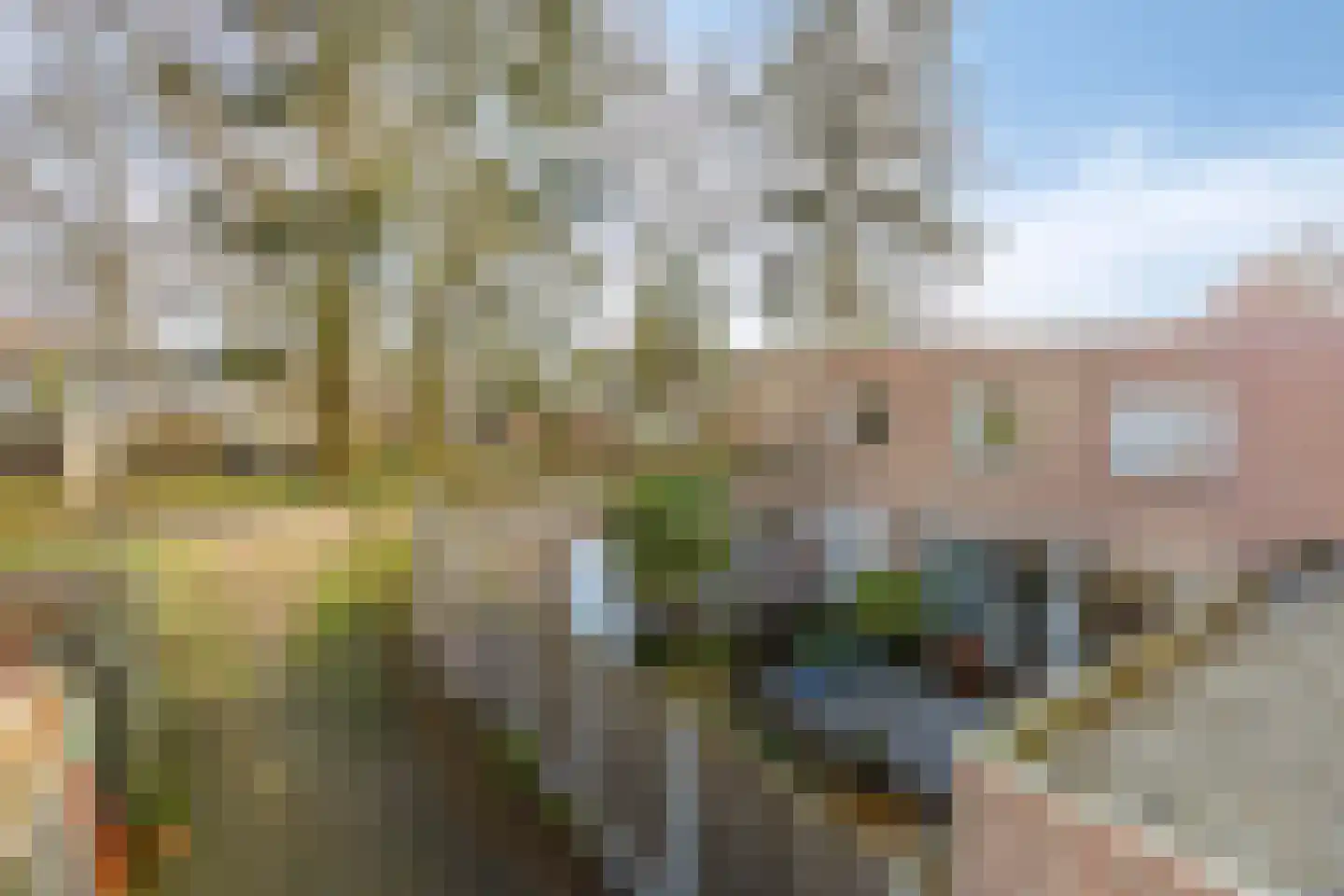 Mortierlaan 145 Eindhoven thumbnail 29