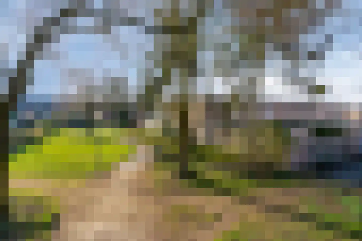 Mortierlaan 145 Eindhoven thumbnail 35