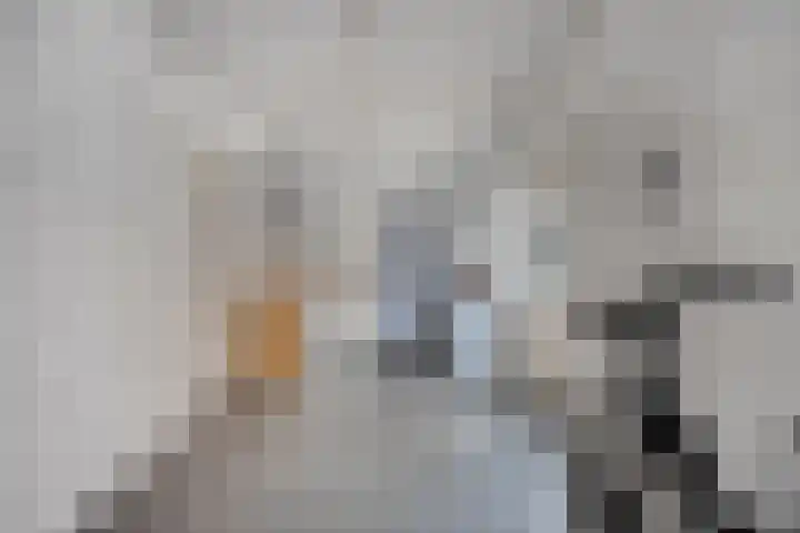 Mortierlaan 147 Eindhoven thumbnail 14