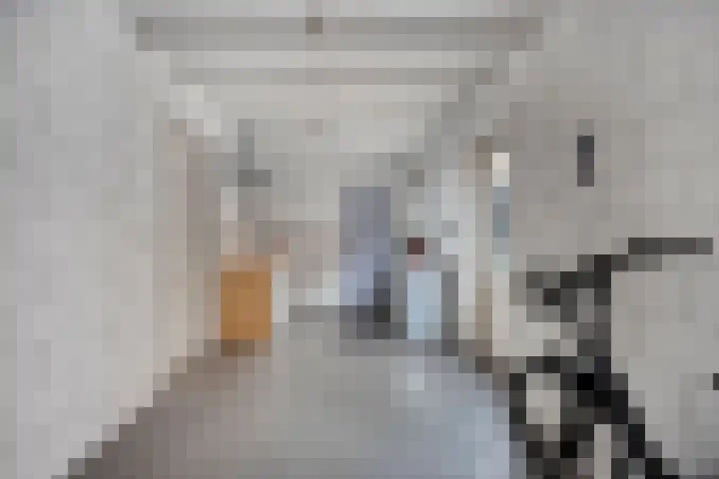 Mortierlaan 147 Eindhoven thumbnail 14