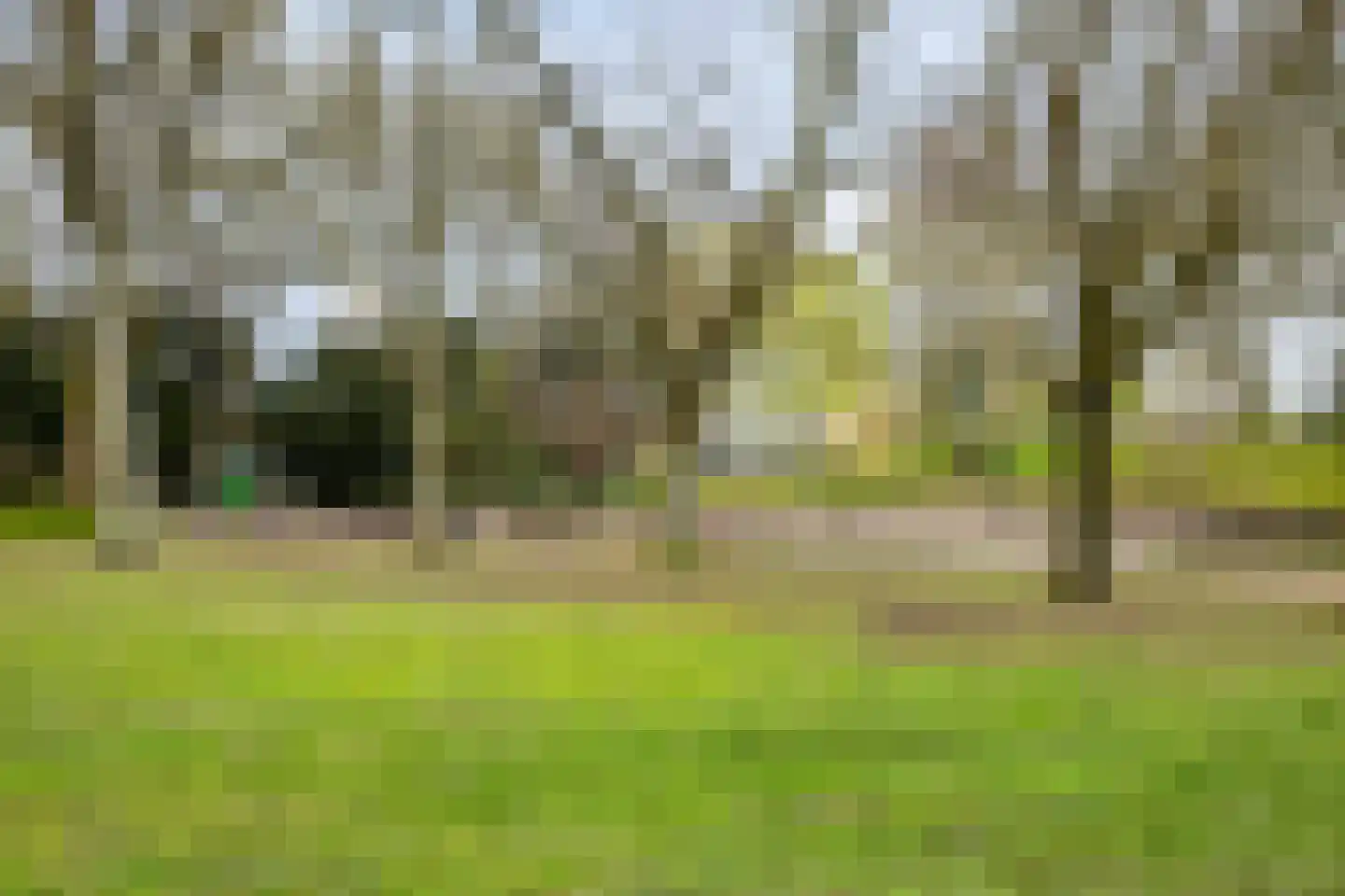 Mortierlaan 147 Eindhoven thumbnail 30
