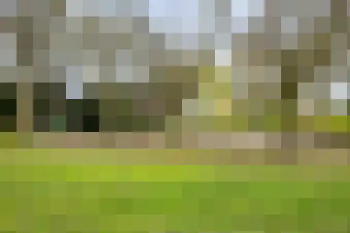 Mortierlaan 147 Eindhoven thumbnail 30