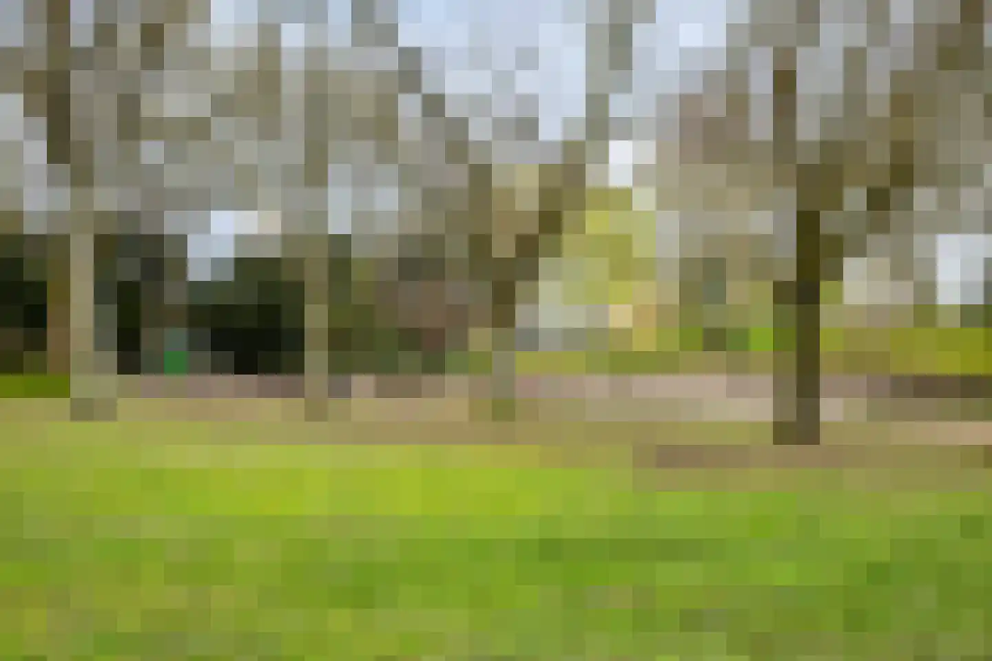 Mortierlaan 147 Eindhoven thumbnail 30