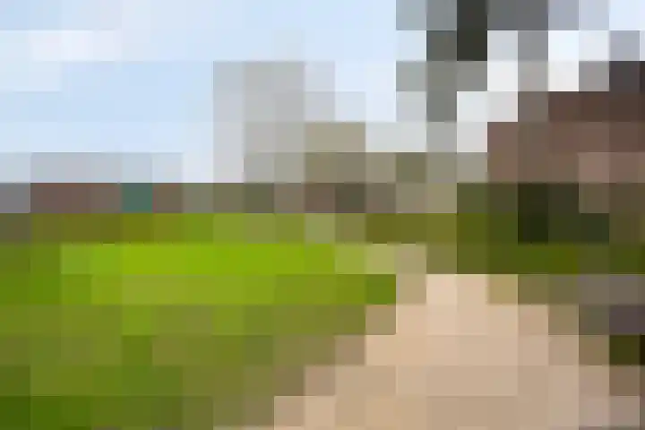 Mortierlaan 147 Eindhoven thumbnail 31