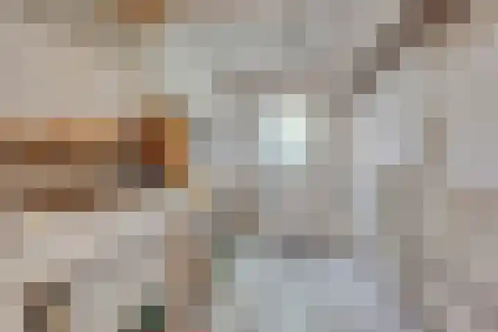 Mortierlaan 165 Eindhoven thumbnail 20