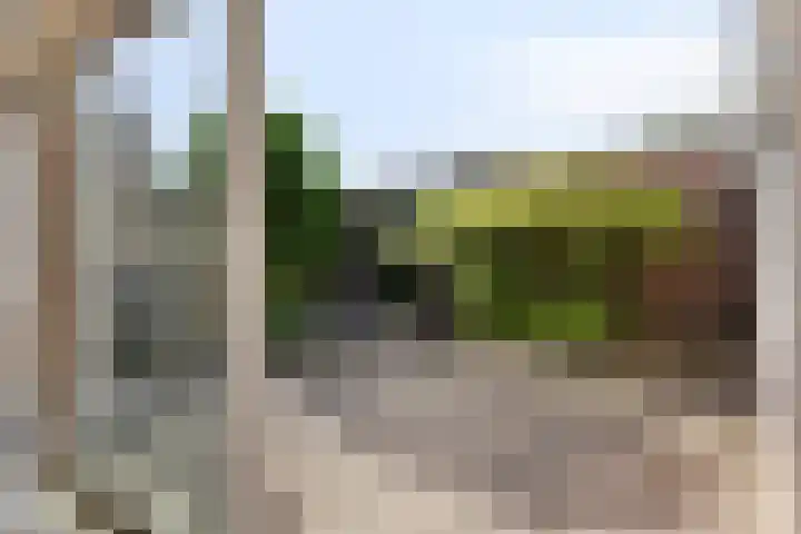 Mortierlaan 165 Eindhoven thumbnail 21