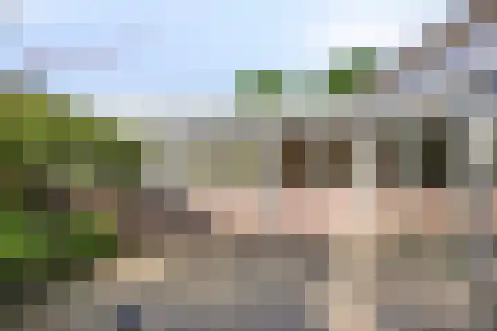 Mortierlaan 165 Eindhoven thumbnail 22