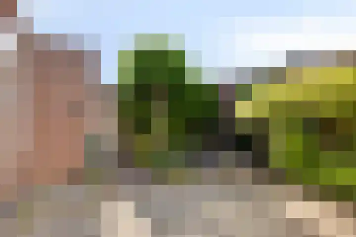 Mortierlaan 165 Eindhoven thumbnail 23