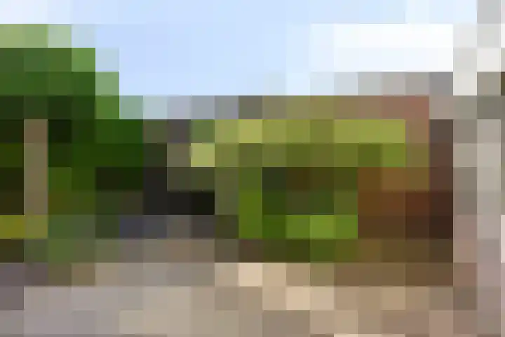 Mortierlaan 165 Eindhoven thumbnail 24