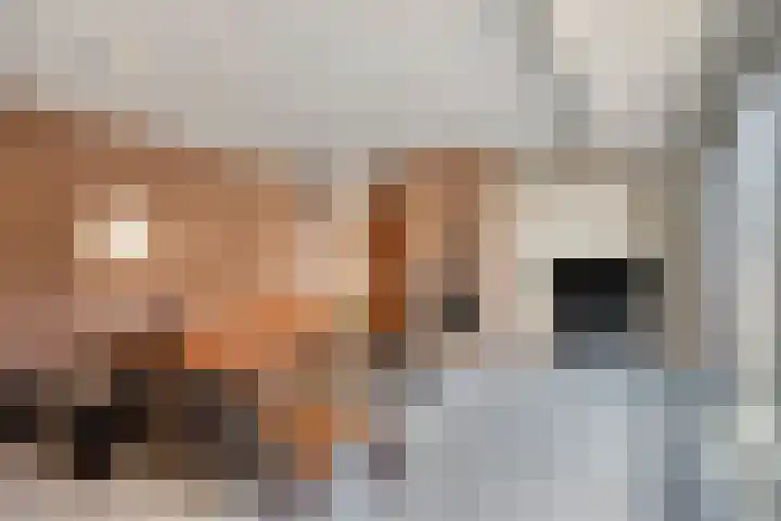 Mortierlaan 165 Eindhoven thumbnail 6