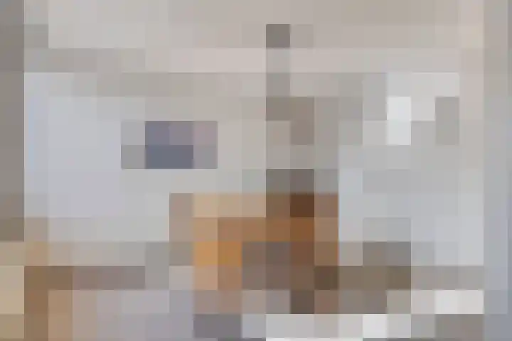 Mortierlaan 165 Eindhoven thumbnail 8