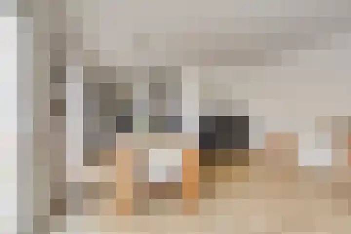 Mortierlaan 22 Eindhoven thumbnail 10