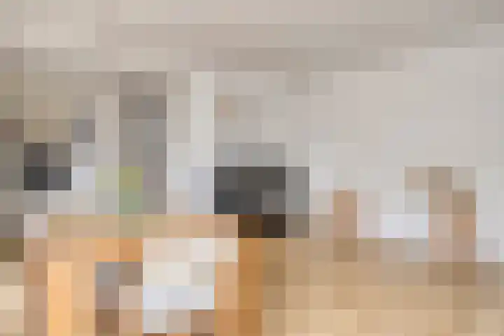Mortierlaan 22 Eindhoven thumbnail 12