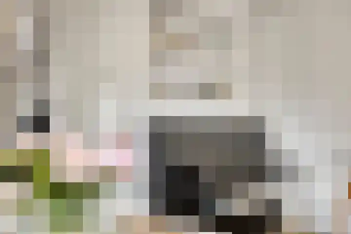 Mortierlaan 22 Eindhoven thumbnail 13