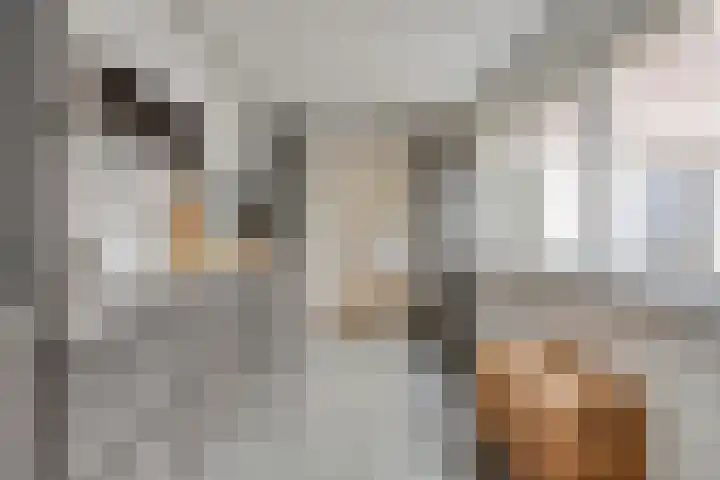 Mortierlaan 22 Eindhoven thumbnail 17