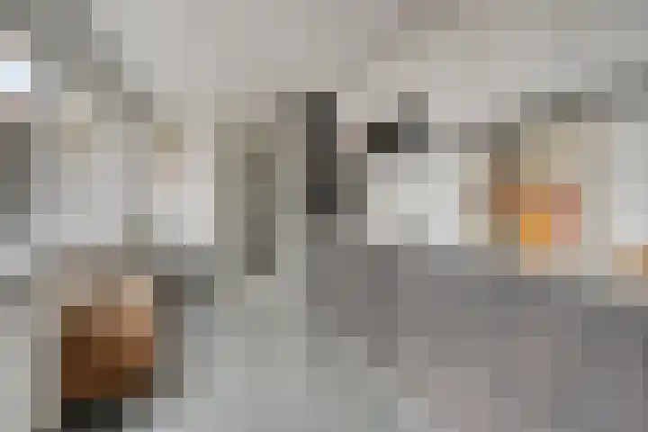 Mortierlaan 22 Eindhoven thumbnail 18