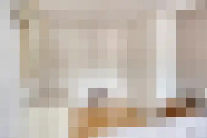 Mortierlaan 22 Eindhoven thumbnail 24