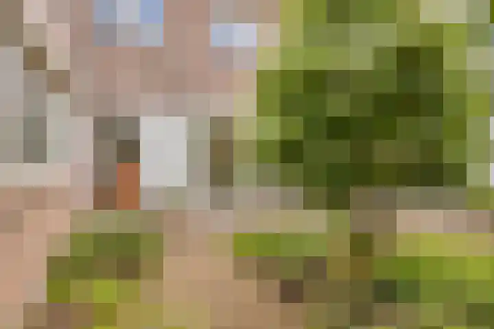 Mortierlaan 22 Eindhoven thumbnail 27