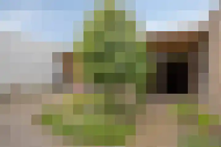 Mortierlaan 22 Eindhoven thumbnail 28