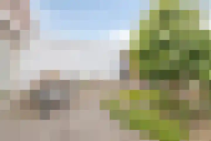 Mortierlaan 22 Eindhoven thumbnail 29