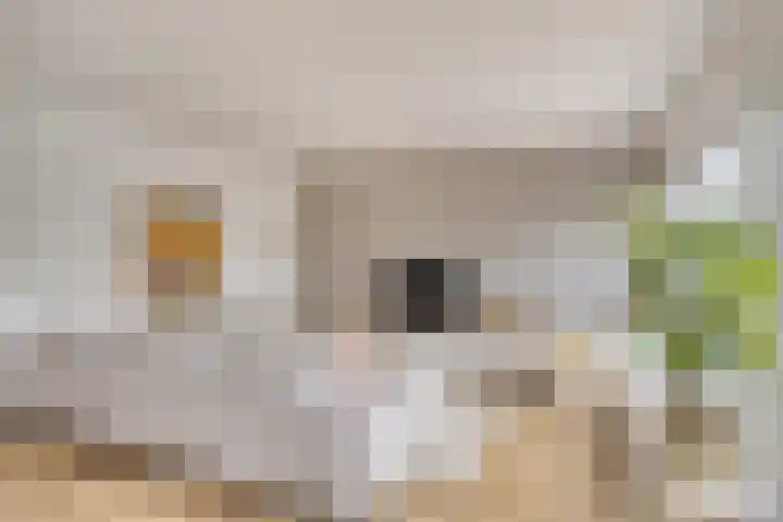 Mortierlaan 22 Eindhoven thumbnail 5