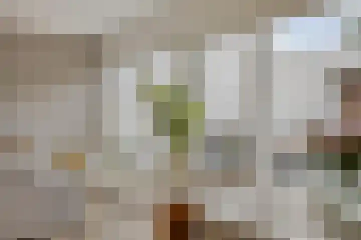 Mortierlaan 22 Eindhoven thumbnail 9