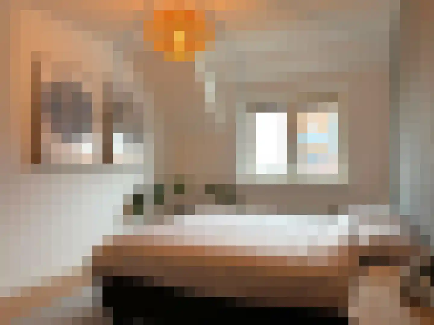 Mortierstraat 3 IJzendijke thumbnail 16