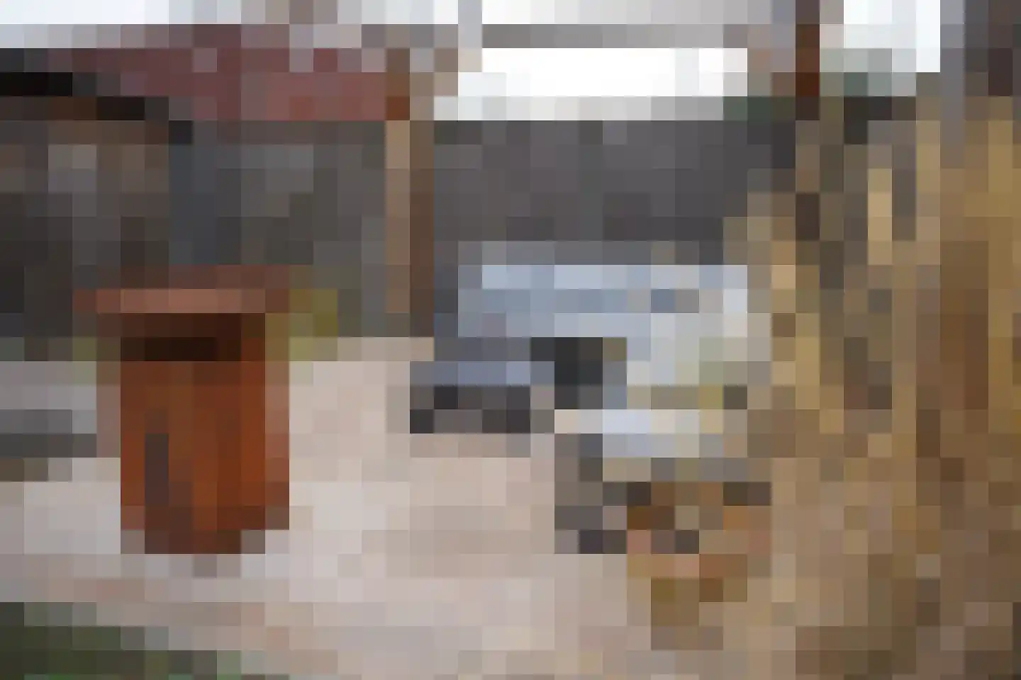 Mortierstraat 3 IJzendijke thumbnail 33