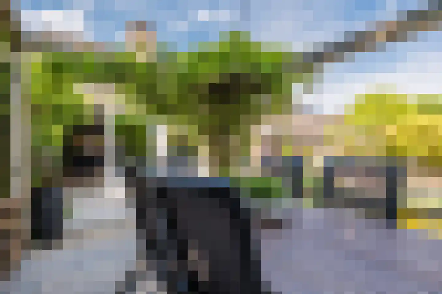Mortonhof 9 Hoogeveen thumbnail 6