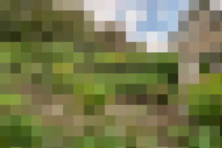 Mos 16 Huizen thumbnail 10