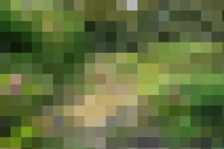 Mos 16 Huizen thumbnail 11