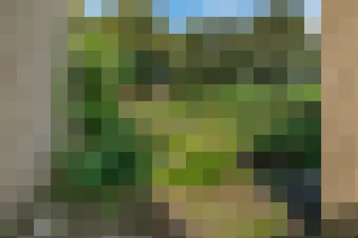 Mos 16 Huizen thumbnail 14