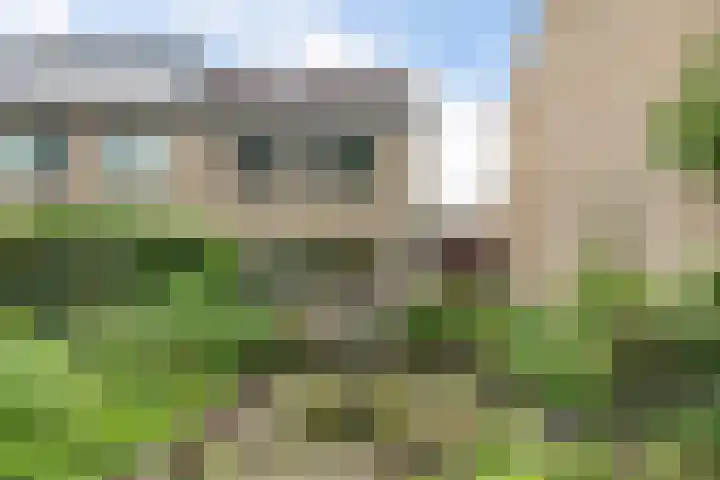 Mos 16 Huizen thumbnail 15