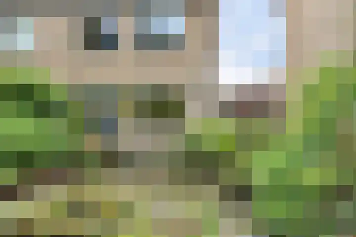 Mos 16 Huizen thumbnail 16