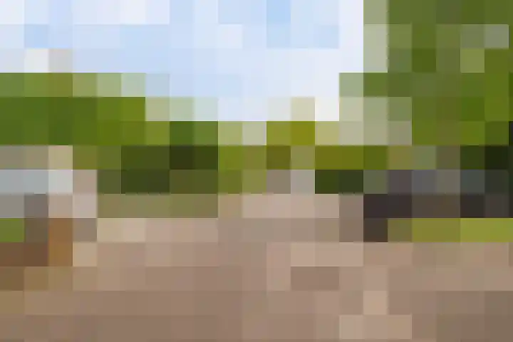 Mos 16 Huizen thumbnail 39