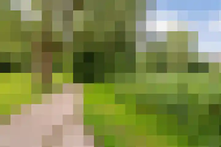 Mos 16 Huizen thumbnail 41