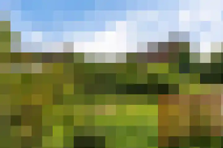 Mos 16 Huizen thumbnail 5