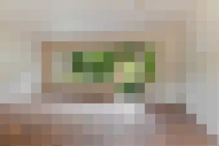 Mos 16 Huizen thumbnail 8