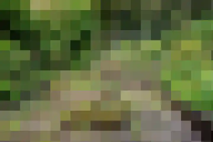 Mos 16 Huizen thumbnail 9